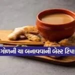 Dharmishtha 30