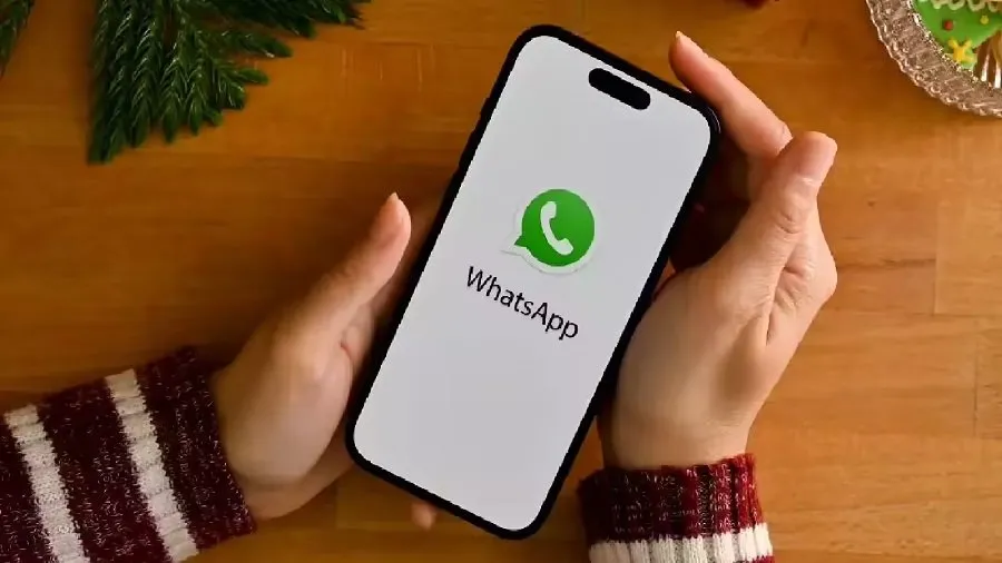 હવે WhatsAppથી પણ થશે મોટી કમાણી! જાણો ઘરે બેઠા પૈસા કમાવાની સરળ રીત 2 WhatsApp earning tips