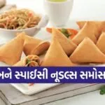 Noodle Samosa
