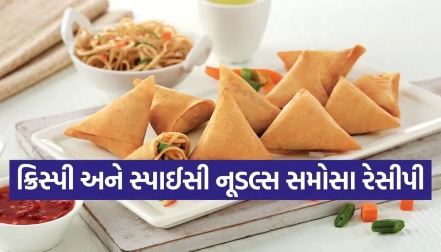Noodle Samosa