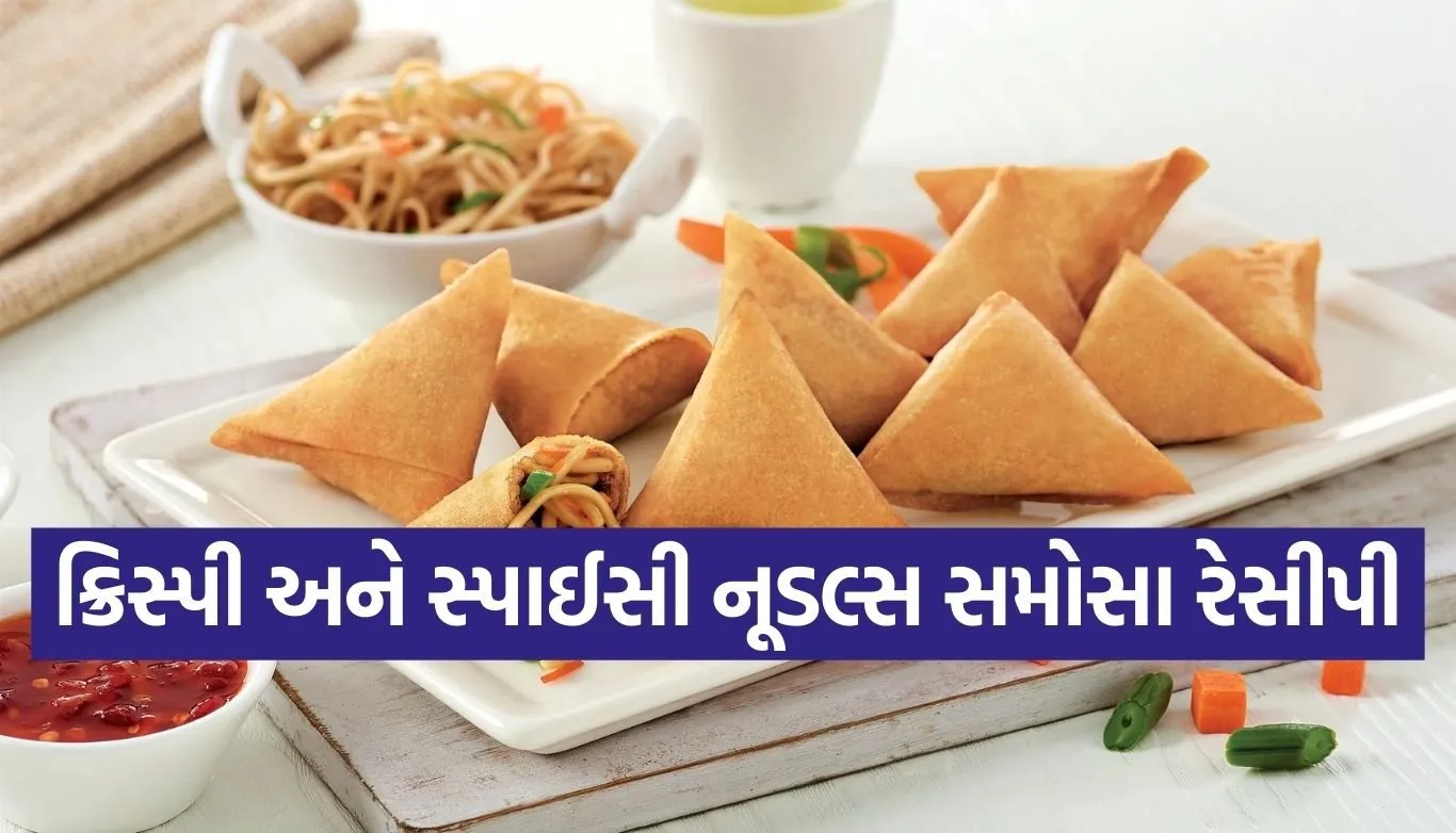 Noodle Samosa