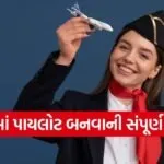 Pilot