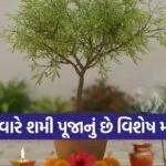 Shami Tree Puja