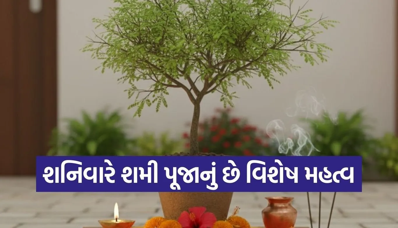 Shami Tree Puja