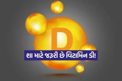 Dharmishtha 3