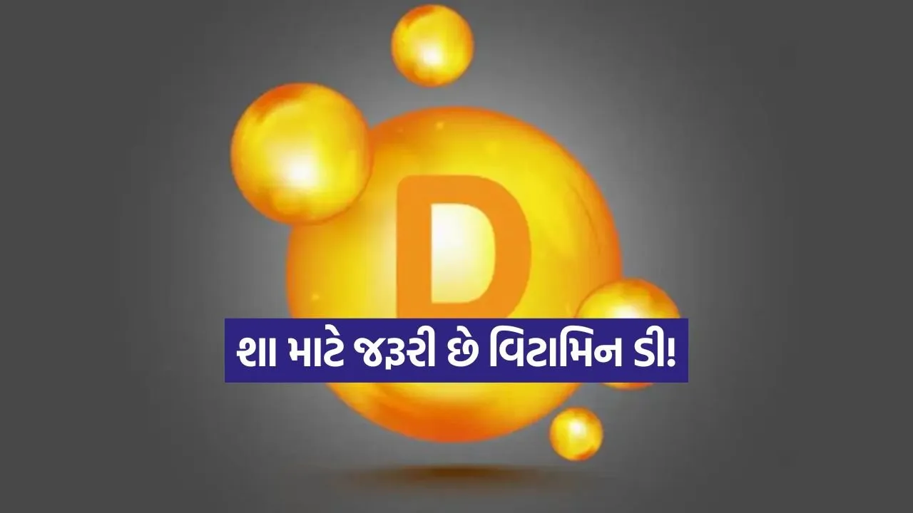 Dharmishtha 3.jpg