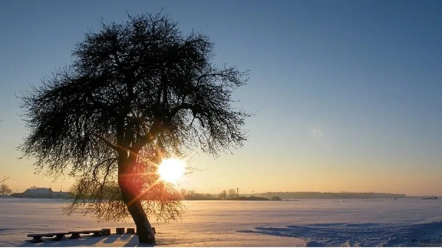 Winter Solstice 2025