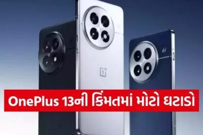 OnePlus 13