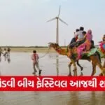Mandvi Beach Festival 2025 1