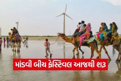 Mandvi Beach Festival 2025 1