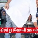 Dahod Food Drug Department Checking 1