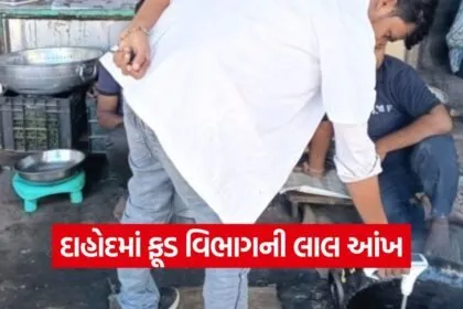 Dahod Food Drug Department Checking 1