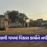 vashiyali Village Development Amreli 1