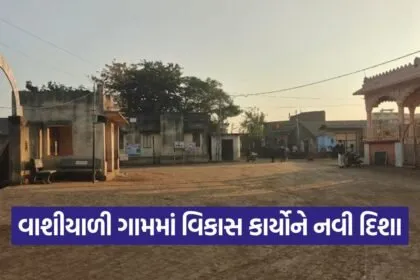 vashiyali Village Development Amreli 1