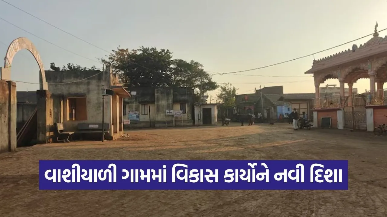 vashiyali Village Development Amreli 1.jpg