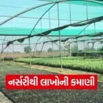 vegetable nursery farming success 1