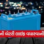 Inverter Battery