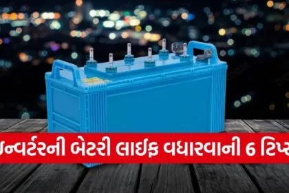 Inverter Battery
