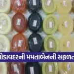 godavdar women entrepreneurship 1