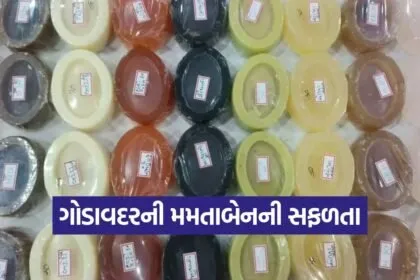 godavdar women entrepreneurship 1