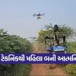 Namo Drone Didi Scheme 1