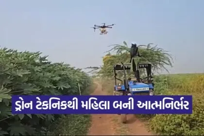 Namo Drone Didi Scheme 1