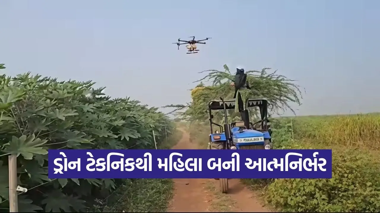 Namo Drone Didi Scheme 1.jpg
