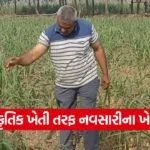 Navsari Natural Farming Success