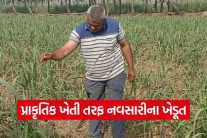 Navsari Natural Farming Success