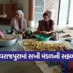 Women Amla Pickle Business 1