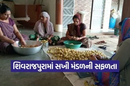 Women Amla Pickle Business 1