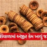 dharmishtha 1 99