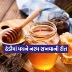 Dharmishtha 49
