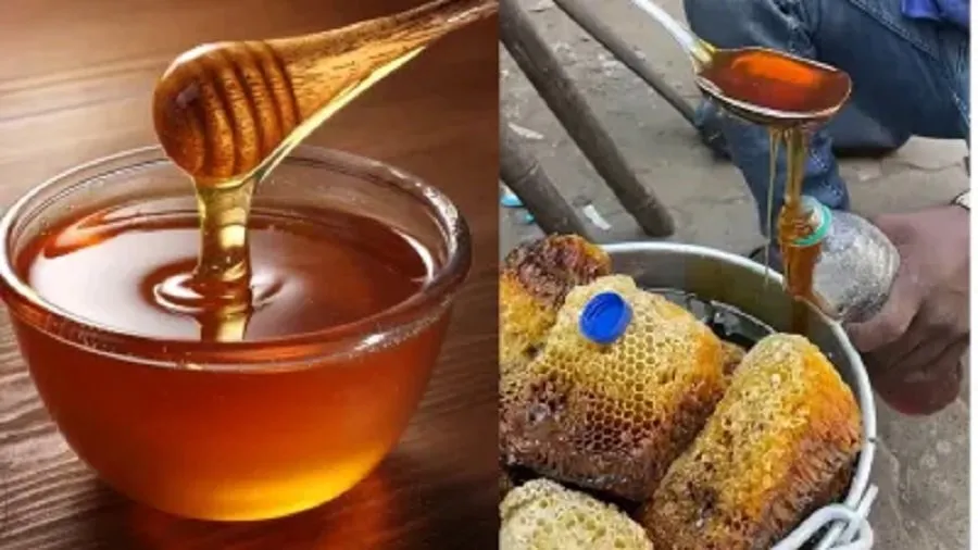 મધ જમવાની સમસ્યા થી પરેશાન છો અપનાવો આ દેશી અને સરળ ઉપાય! 2 honey.jpg
