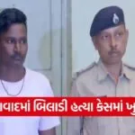 Ahmedabad cat cruelty case 1