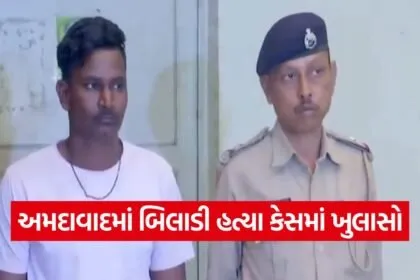 Ahmedabad cat cruelty case 1