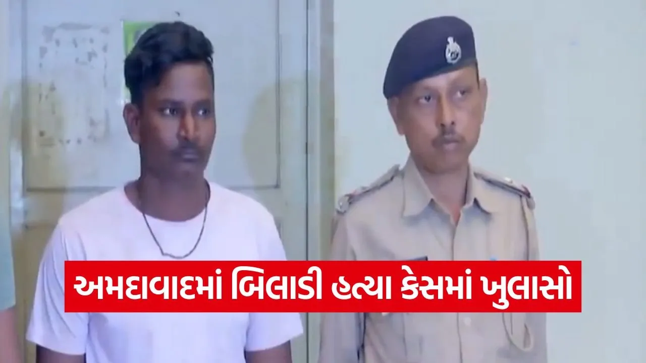 Ahmedabad cat cruelty case 1.jpg