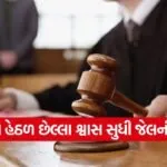Kheda POCSO case verdict 1