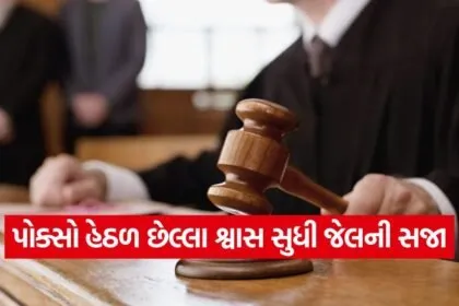 Kheda POCSO case verdict 1