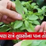 Tulsi Niyam