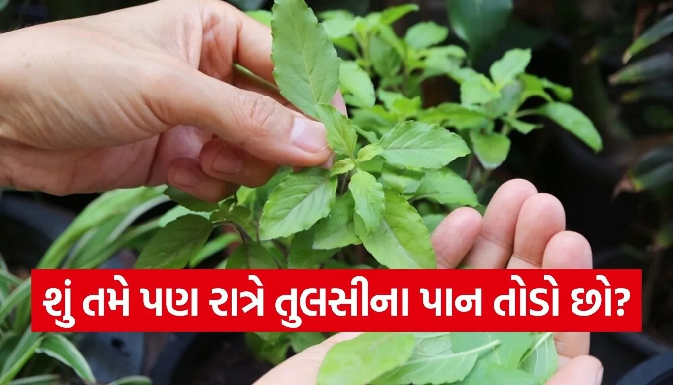 Tulsi Niyam