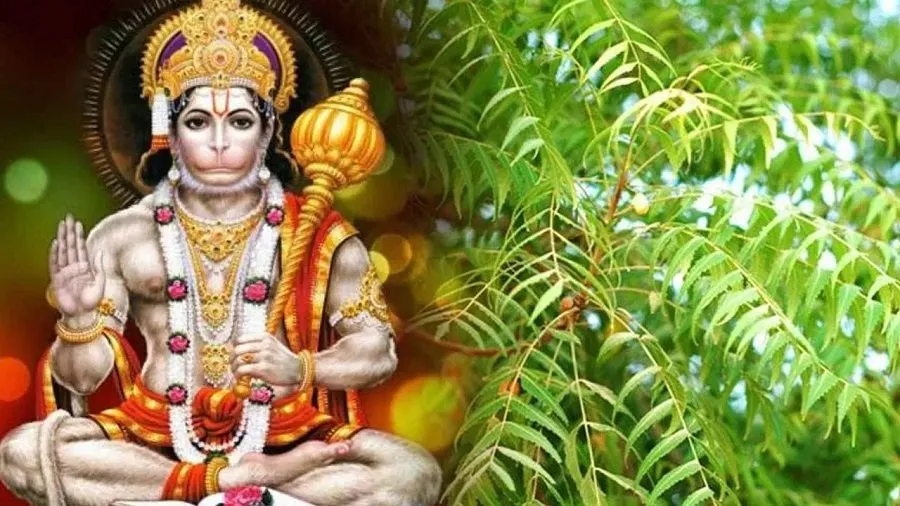 Neem Tree Worship