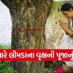 Neem Tree Worship