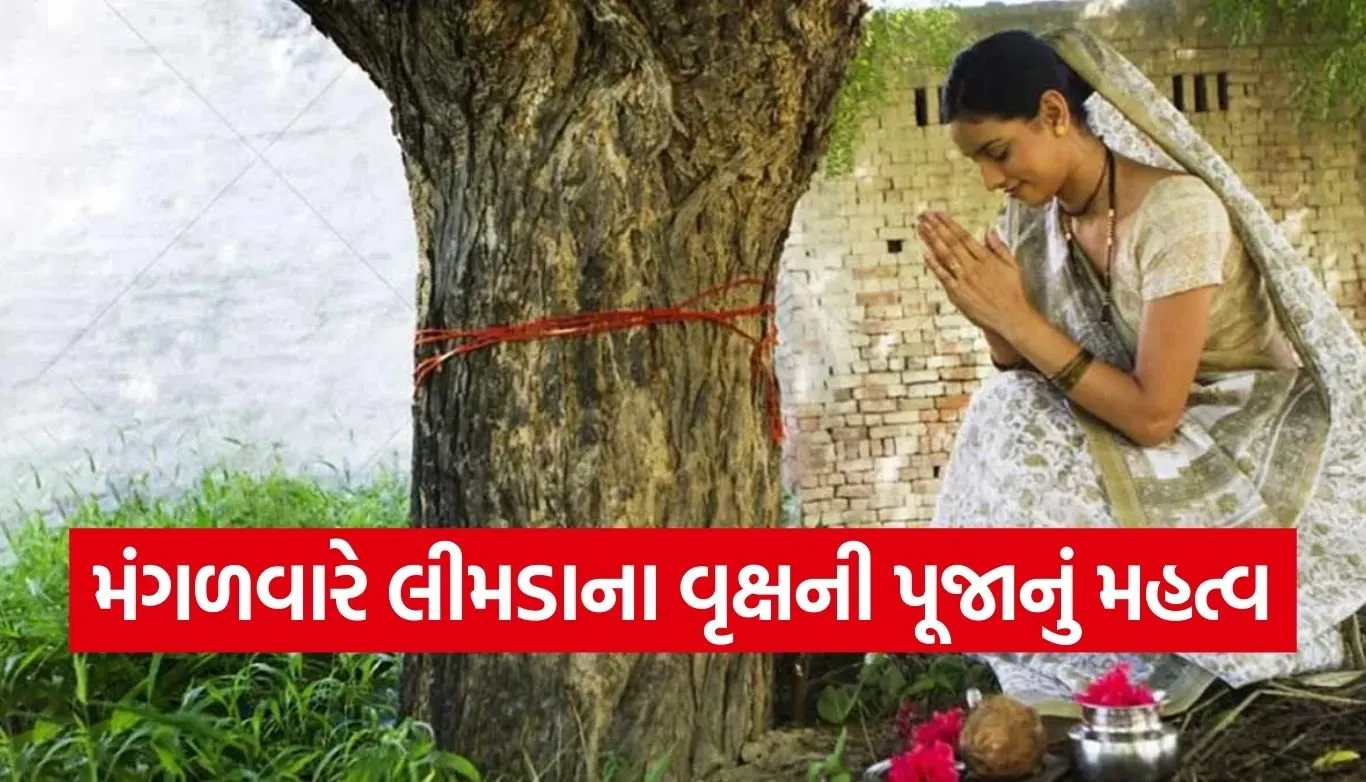 Neem Tree Worship