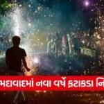 New Year Firecracker Rules 1