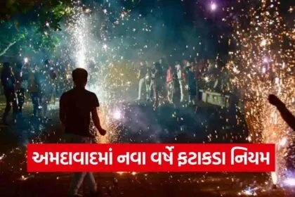 New Year Firecracker Rules 1