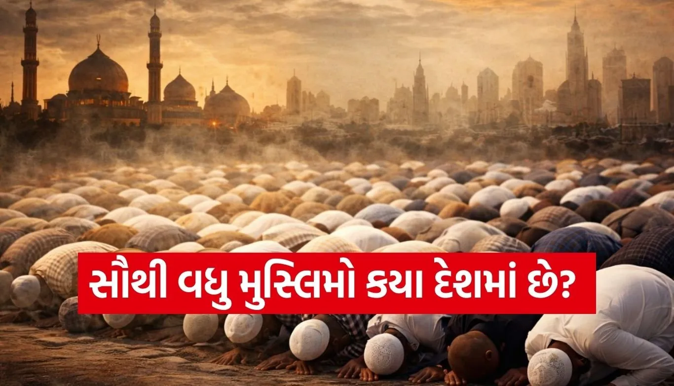 Muslim Population
