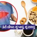 kruti 6
