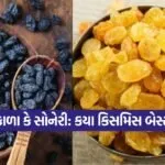 kruti 8