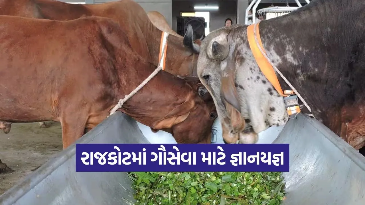 Bhagwat Saptah Rajkot.jpg